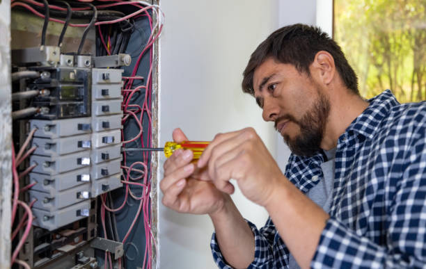 Best Electric Panel Repair  in Shelbyville, TN